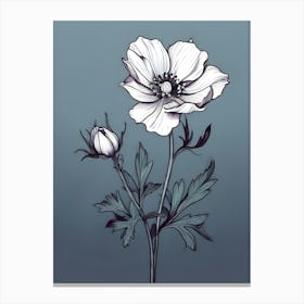 Anemone 1 Canvas Print