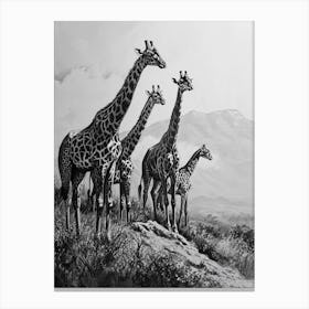 Herd Of Giraffe Pencil Portrait 1 Canvas Print