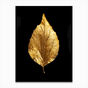 Gold Leaf On Black Background Canvas Print