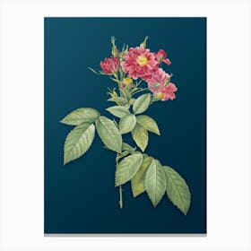 Vintage Boursault Rose Botanical Art on Teal Blue n.0475 Canvas Print