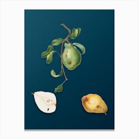 Vintage Pear Botanical Art on Teal Blue n.0104 Canvas Print