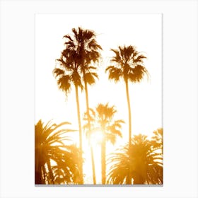 Sunset Palm Trees Canvas Print