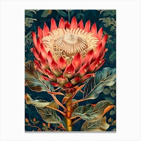 Protea Canvas Print