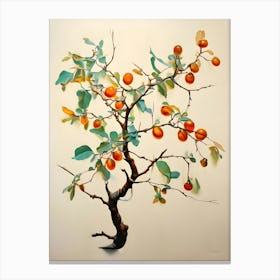 Pomegranate Tree 1 Canvas Print