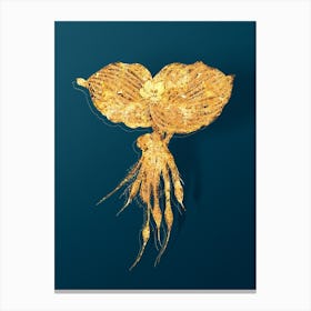 Vintage Sand Ginger Botanical in Gold on Teal Blue n.0213 Canvas Print