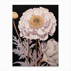 Flower Illustration Scabiosa 2 Canvas Print