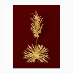 Vintage Adam's Needle Botanical in Gold on Red n.0368 Canvas Print