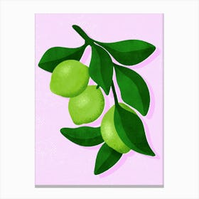 Limes Canvas Print