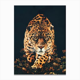 Hunting Jaguar Canvas Print