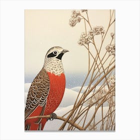 Bird Illustration Pheasant 4 Canvas Print