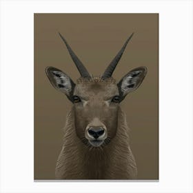 Antelope Head 1 Canvas Print