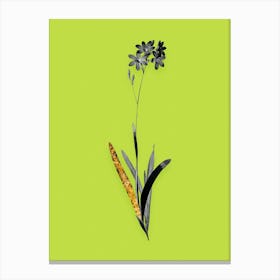 Vintage Corn Lily Black and White Gold Leaf Floral Art on Chartreuse n.0128 Canvas Print