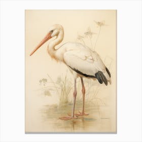Vintage Bird Drawing Stork 2 Canvas Print