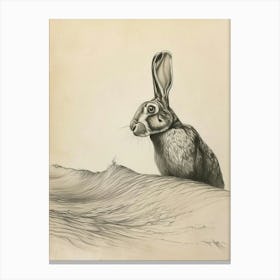Flemish Giant Rabbit Drawing 3 Canvas Print