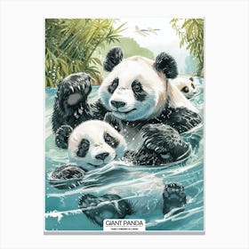 Giant Panda Family Swimming In A River Poster 3 Canvas Print