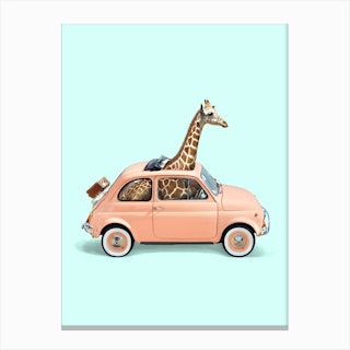 Giraffe Car Canvas Print