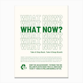 What Now Canvas Print