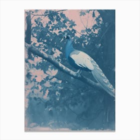 Peacock In The Tree Cyanotype Inspired 1 Canvas Print