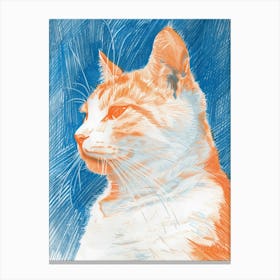 Orange And Blue Cat Canvas Print