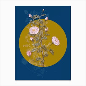 Vintage Botanical Pink Scotch Briar Rose on Circle Yellow on Blue Canvas Print