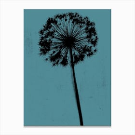 Teal black single allium Canvas Print