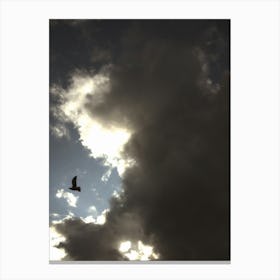 Inspiring Silhouette of a Bird Flying Out of a Storm Canvas Print