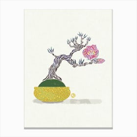 Bonsai Tree - Japanese Quince Canvas Print