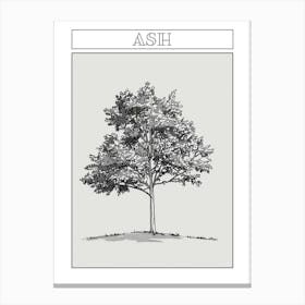 Ash Tree Minimalistic Drawing 1 Poster Canvas Print