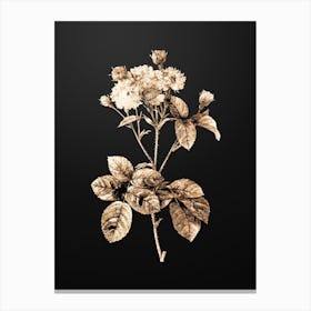 Gold Botanical Pink Rosebush on Wrought Iron Black n.2657 Canvas Print