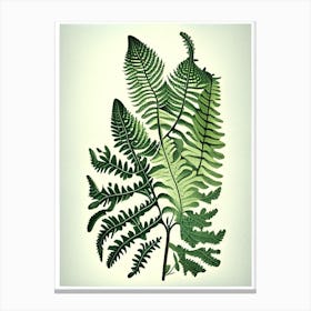 Southern Maidenhair Fern 3 Vintage Botanical Poster Canvas Print