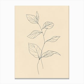 Leaf On A Branch 5 Canvas Print