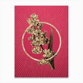 Gold Oriental Hyacinth Glitter Ring Botanical Art on Viva Magenta Canvas Print