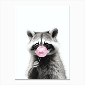 Raccoon Blowing A Pink Bubble Of Chewing Gum  Canvas Print