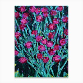Rose Campion Canvas Print