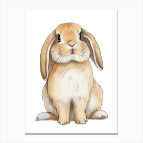 Mini Lop Rabbit Kids Illustration 4 Canvas Print