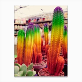 Rainbow Cactus Canvas Print
