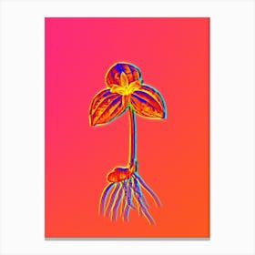 Neon Tri Flower Botanical in Hot Pink and Electric Blue n.0604 Canvas Print
