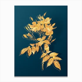 Vintage Musk Rose Botanical in Gold on Teal Blue n.0027 Canvas Print