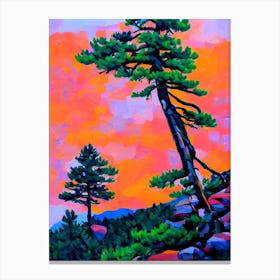 Rocky Mountain Juniper Tree Cubist 2 Canvas Print