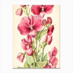 Pink Geraniums Canvas Print