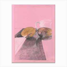Pink Mango Canvas Print