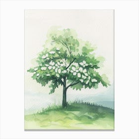 Dogwood Tree Atmospheric Watercolour Painting 1 Canvas Print