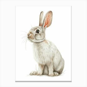 Polish Rex Rabbit Kids Illustration 1 Canvas Print