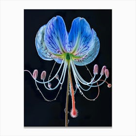 Blue Lily Canvas Print