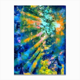 Sun Kissing The Forest Canvas Print