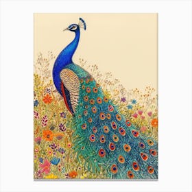 Pencil Crayon Peacock In The Meadow Canvas Print
