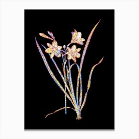 Stained Glass Daylily Mosaic Botanical Illustration on Black Canvas Print