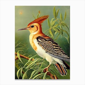 Hoopoe Haeckel Style Vintage Illustration Bird Canvas Print