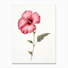 Hibiscus Flower Vintage Botanical 0 Canvas Print