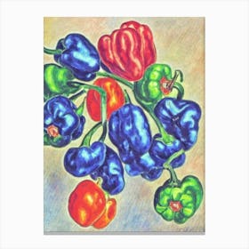 Anaheim Pepper Fauvist vegetable Canvas Print